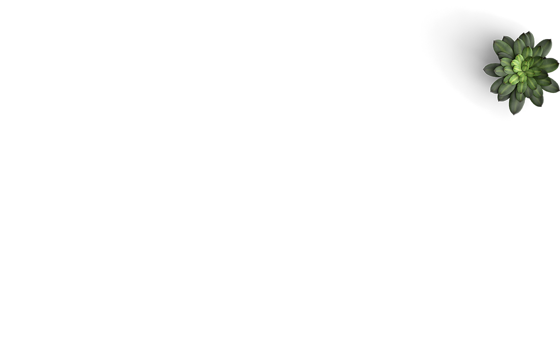 Layer